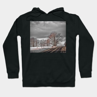 Support Local Farmers Hoodie